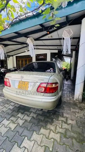 Nissan Sylphy 2005 Car (Used)