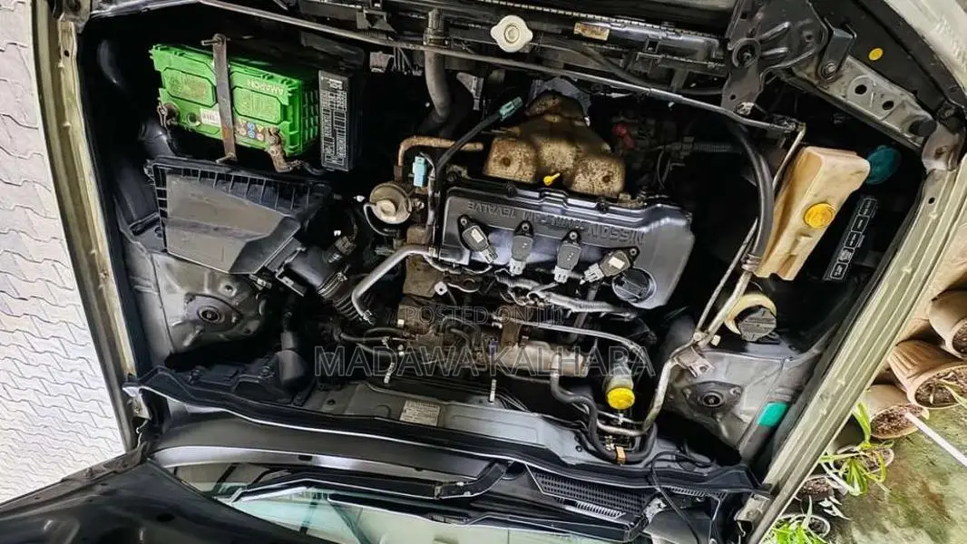 Nissan Sylphy 2005 Car (Used)