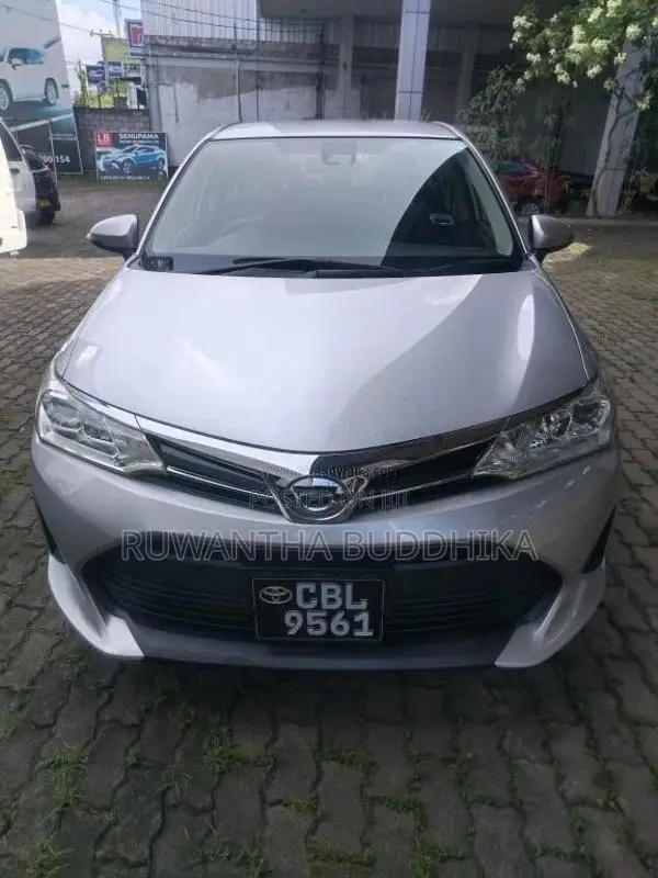 Toyota Axio 2019 Car (Used)