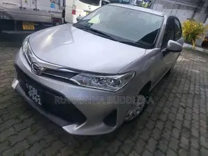 Toyota Axio 2019 Car (Used)