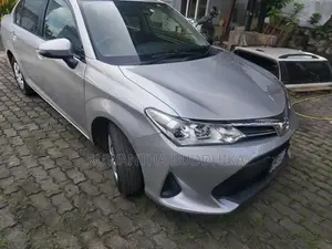 Toyota Axio 2019 Car (Used)