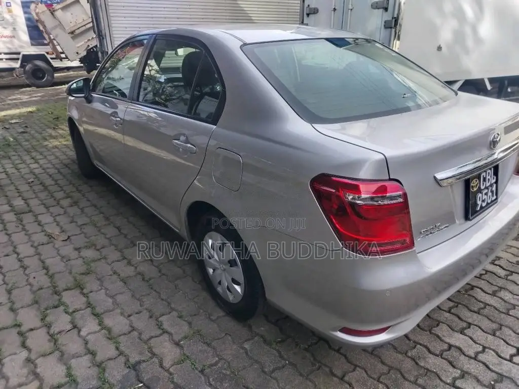 Toyota Axio 2019 Car (Used)