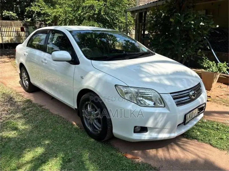 Toyota Axio 2007 Car (Used)