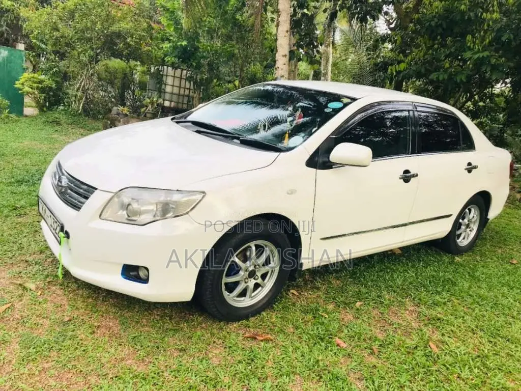 Toyota Axio 2010 Car (Used)