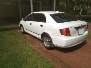 Toyota Axio 2010 Car (Used)