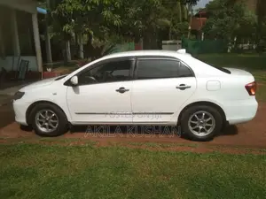 Toyota Axio 2010 Car (Used)