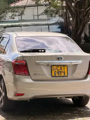 Toyota Axio 2016 Car (Used)
