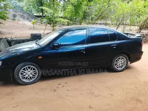 Nissan Primera 2003 Car (Used)