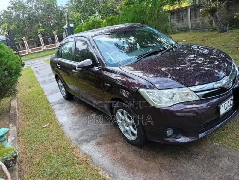 Toyota Axio 2014 Car (Used)