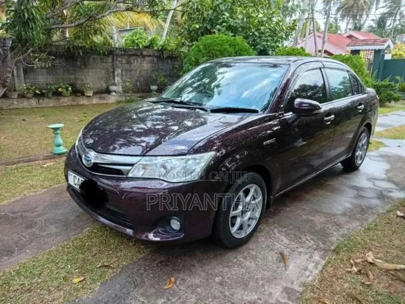 Toyota Axio 2014 Car (Used)