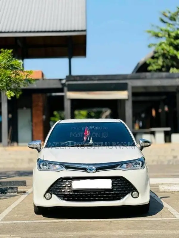 Toyota Axio 2017 Car (Used)