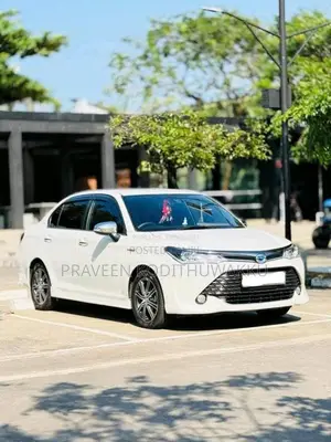 Toyota Axio 2017 Car (Used)