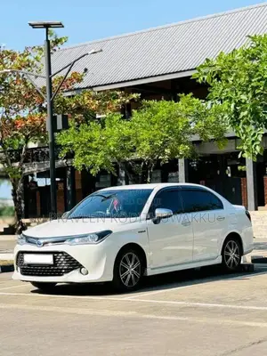 Toyota Axio 2017 Car (Used)