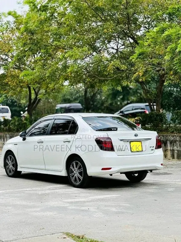 Toyota Axio 2017 Car (Used)