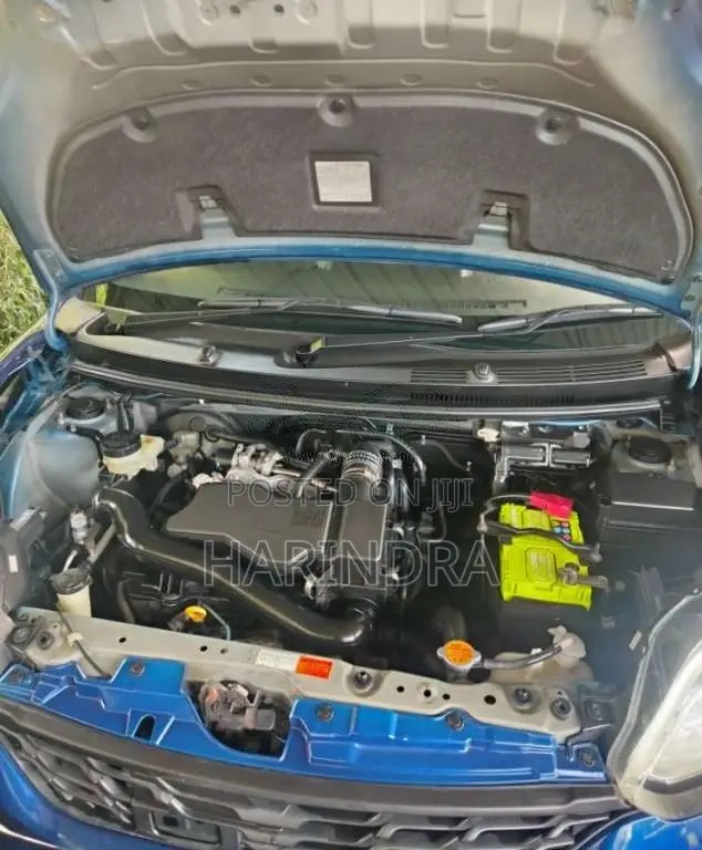 Toyota Passo 2017 Car (Used)
