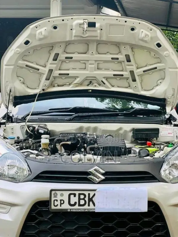 Suzuki Alto 2020 Car (Used)