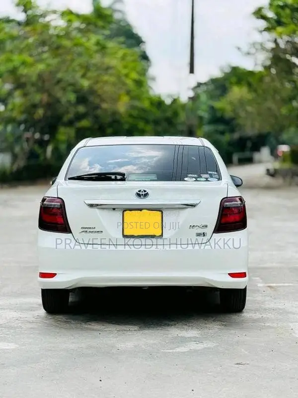 Toyota Axio 2017 Car (Used)