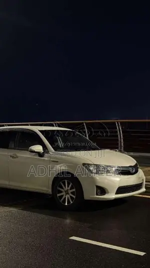 Toyota Axio 2014 Car (Used)