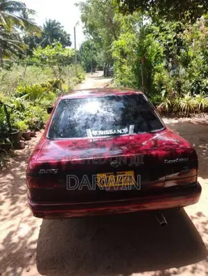 Nissan Sunny 1992 Car (Used)