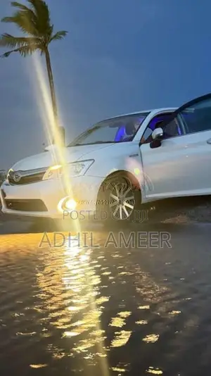 Toyota Axio 2014 Car (Used)