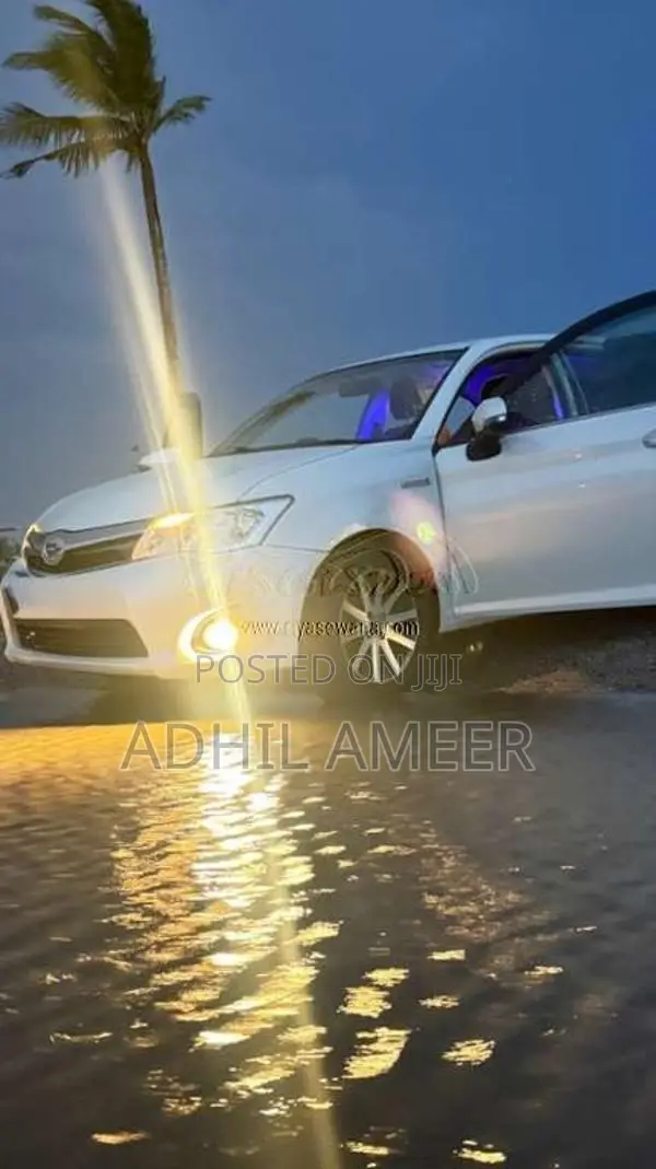 Toyota Axio 2014 Car (Used)