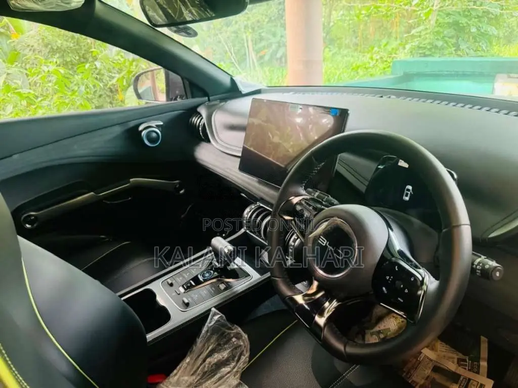 BYD Atto 3 2025 Car (Used)