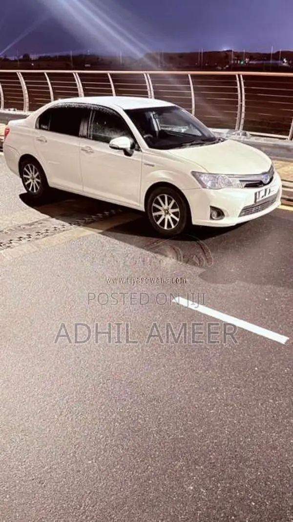Toyota Axio 2014 Car (Used)