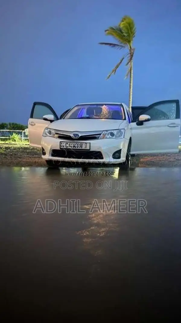 Toyota Axio 2014 Car (Used)