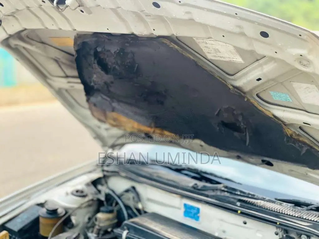 Nissan Presea 1995 Car (Used)