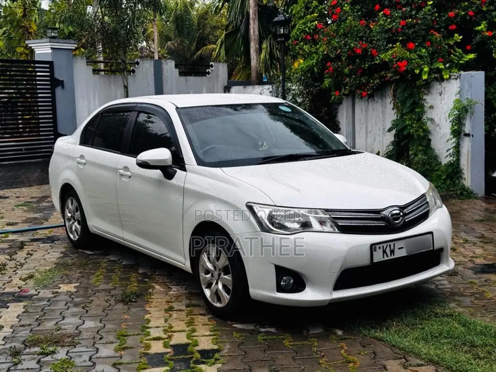 Toyota Axio 2013 Car (Used)