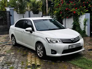 Toyota Axio 2013 Car (Used)