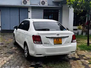 Toyota Axio 2013 Car (Used)