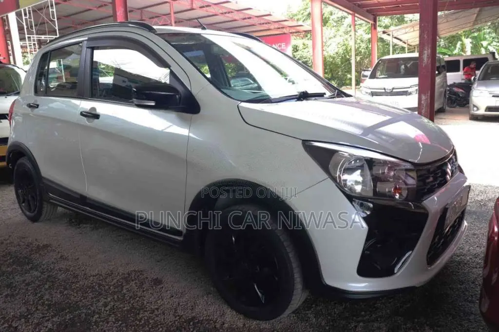 Suzuki Celerio 2019 Car (Used)