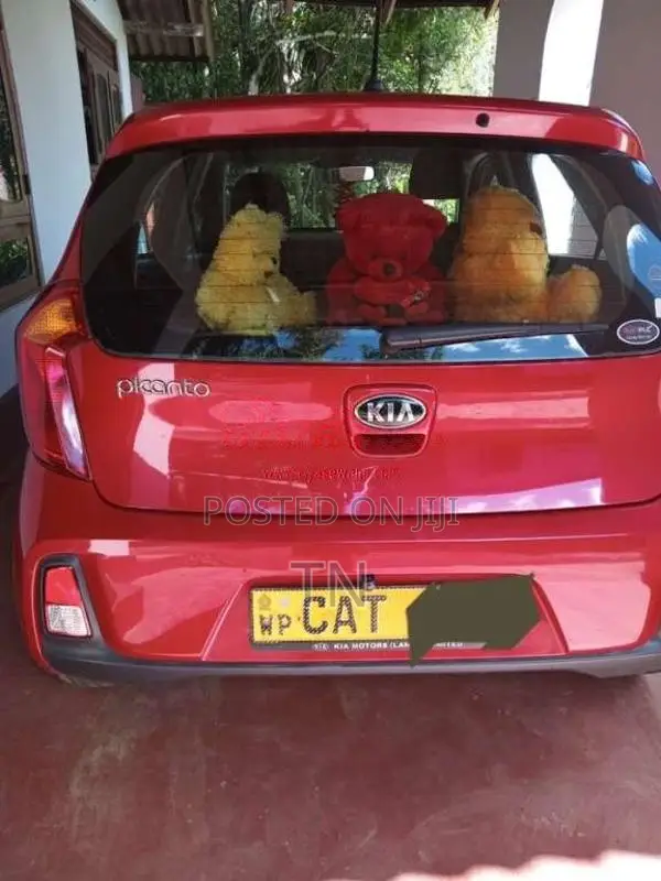 Kia Picanto 2016 Car (Used)