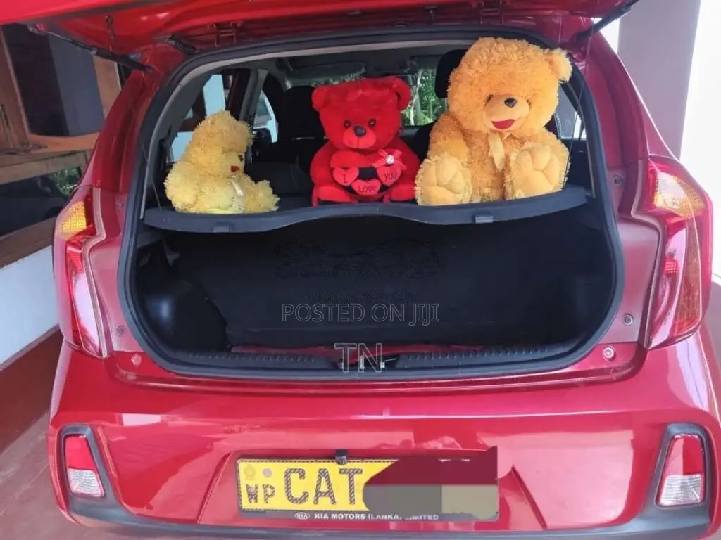 Kia Picanto 2016 Car (Used)