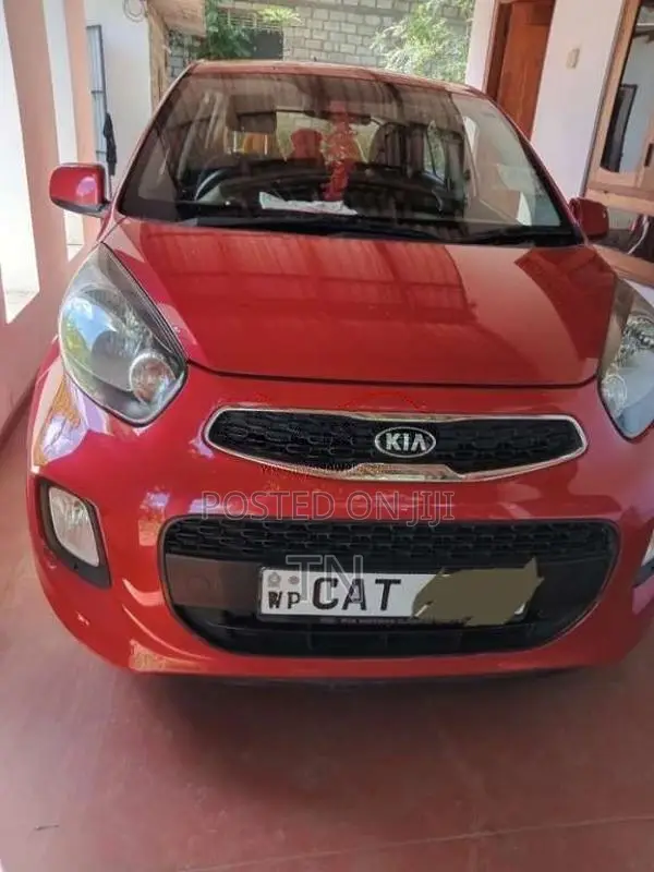 Kia Picanto 2016 Car (Used)