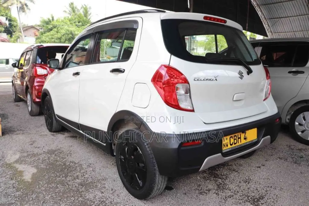 Suzuki Celerio 2019 Car (Used)