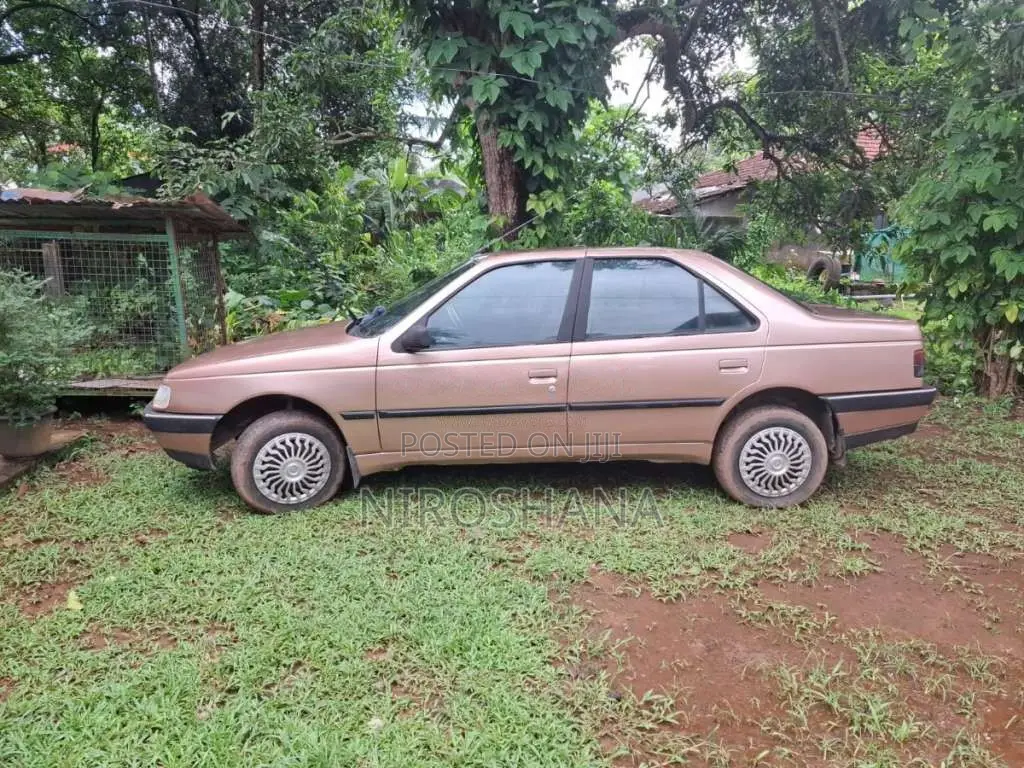 Peugeot 405 1995 Car (Used)