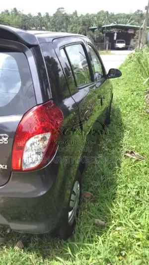 Suzuki Alto 2015 Car (Used)