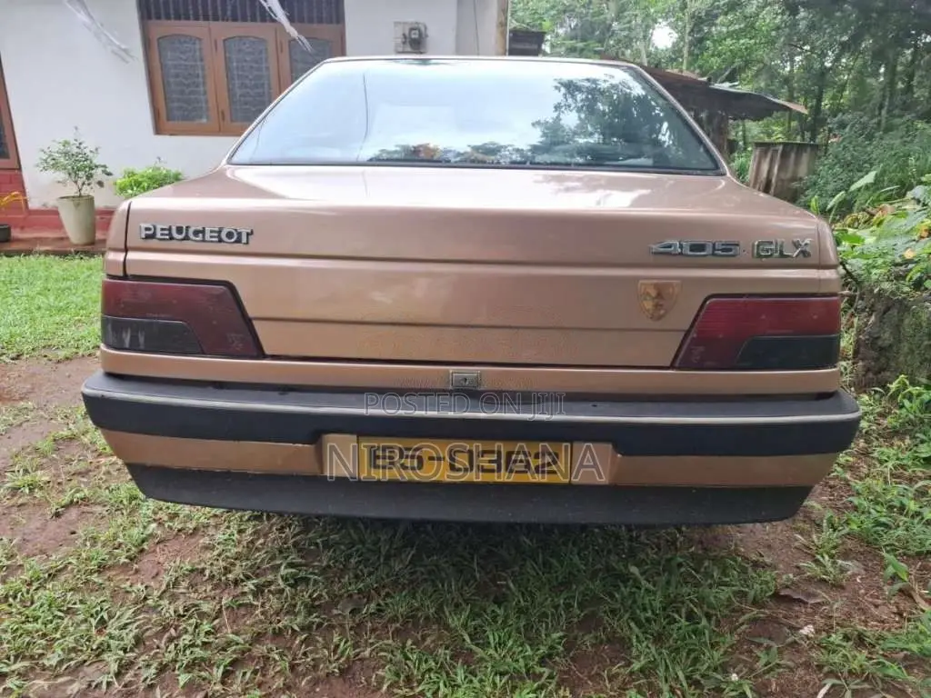 Peugeot 405 1995 Car (Used)