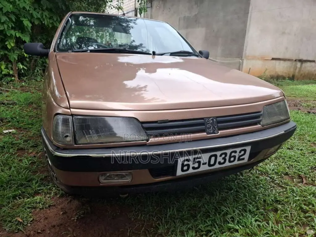 Peugeot 405 1995 Car (Used)