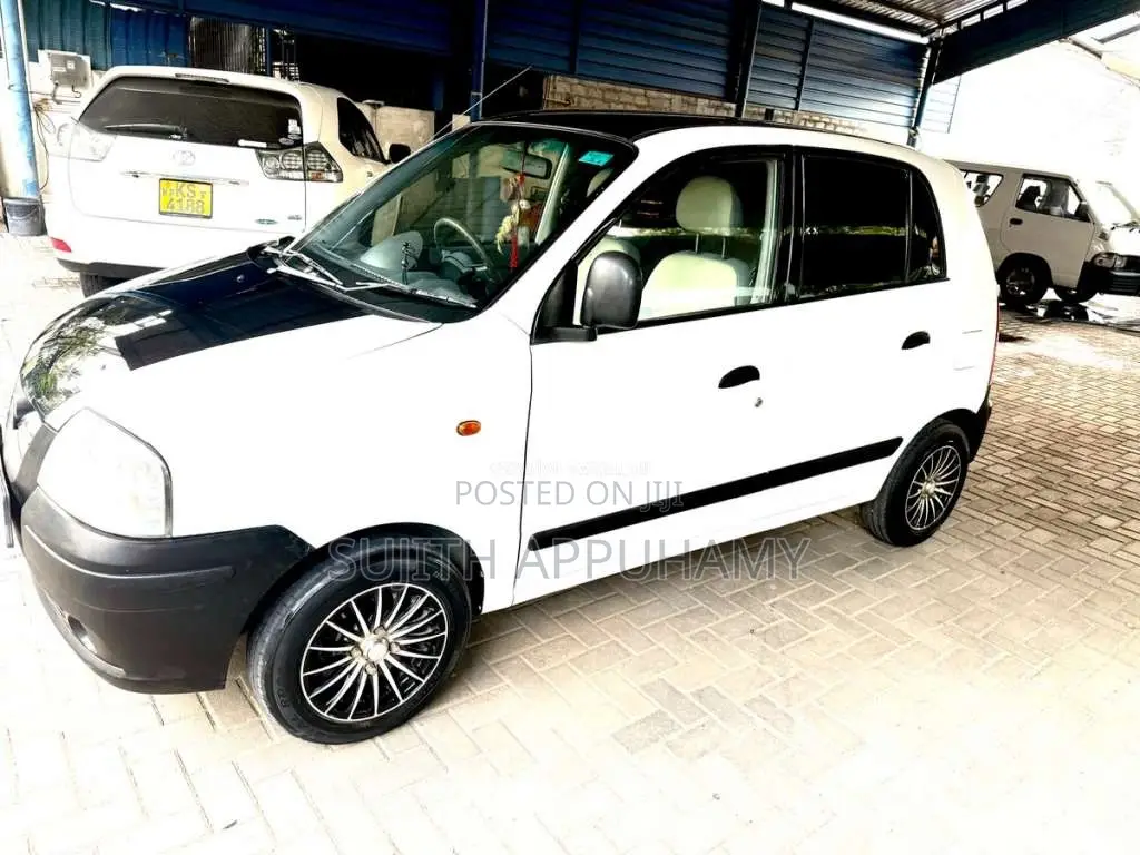 Hyundai Santro 2005 Car (Used)