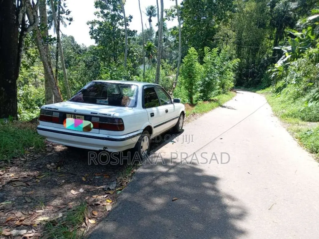 Toyota Corolla 1988 Car (Used)