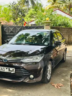 Toyota Axio 2015 Car (Used)