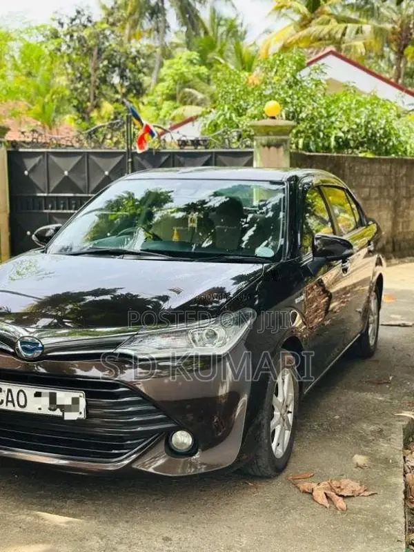 Toyota Axio 2015 Car (Used)