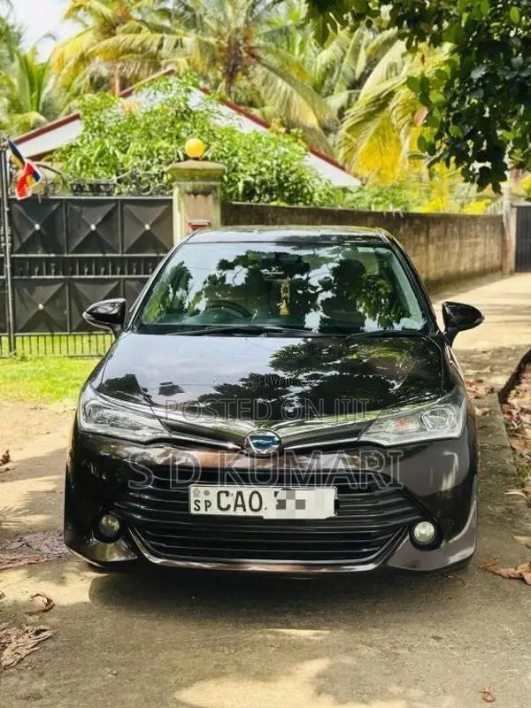 Toyota Axio 2015 Car (Used)
