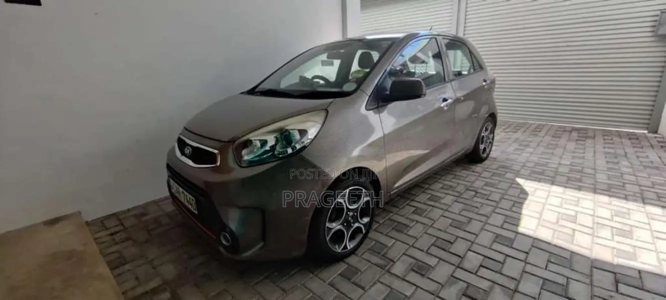 Kia Picanto 2016 Car (Used)