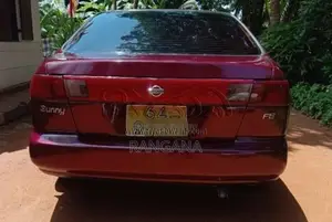 Nissan Sunny 1995 Car (Used)