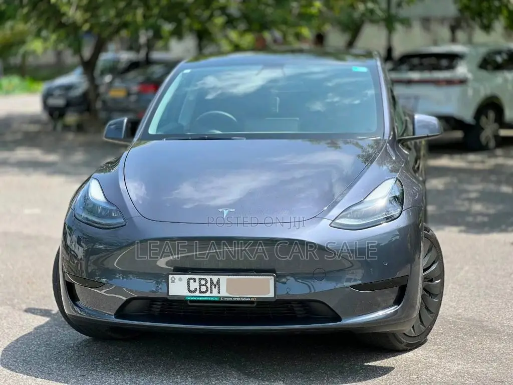 Tesla Model Y 2023 Car (Used)