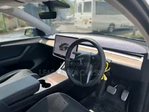 Tesla Model Y 2023 Car (Used)